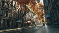 an empty city street with tall buildings and lots of trees in the fall time,