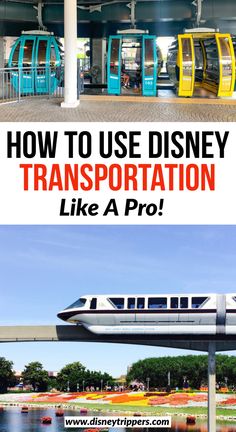 how to use disney transportation like a pro