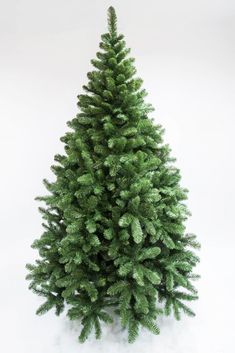 a green christmas tree on a white background