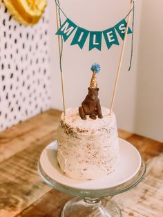 a birthday cake with a small dog on top