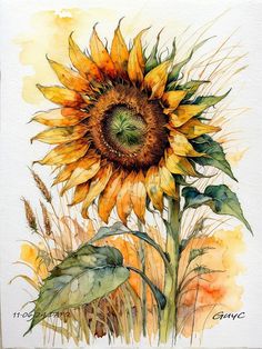 a watercolor painting of a sunflower