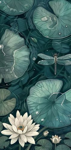 water lilies and dragonflies are floating in the pond