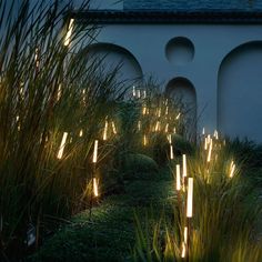 some plants and lights in front of a building