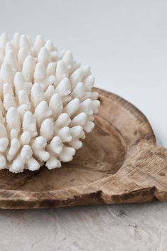 a white coral on a wooden plate with a white wall in the backround