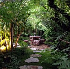 a path in the middle of a lush green forest with stepping stones leading to a bench