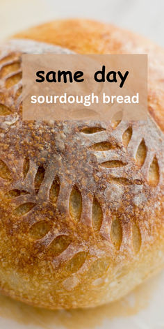 sourdough bread Beginner Sourdough, Easy Sourdough Bread Recipe, Bread Scoring, Apple Fritter Bread, Superfood Recipes, Bread Baker, Sourdough Baking, Sourdough Bread Recipe, Apple Fritters