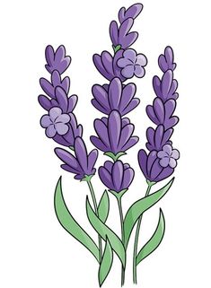 purple flowers with green leaves on a white background