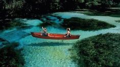 two people in a red boat floating down a river surrounded by green plants and trees