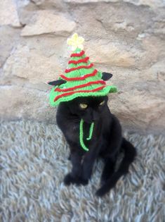 a black cat wearing a green and red hat