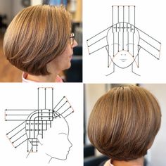 Basic Haircut, Simply Hairstyles, Hair Chart, Hair Facts, Short Hair Trends, Hair Braid Videos