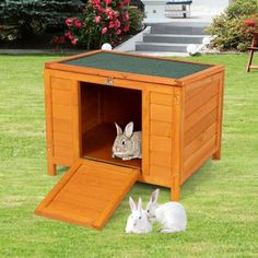 two rabbits in a small wooden rabbit house