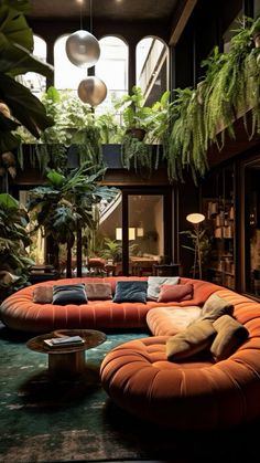 a living room filled with lots of plants and furniture