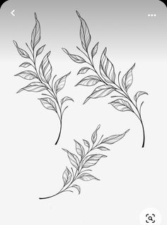 two branches with leaves drawn on them