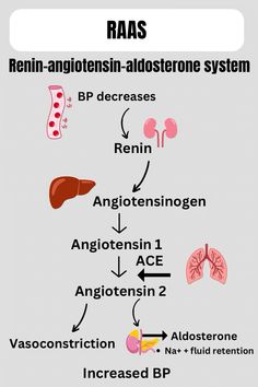 the diagram shows different stages of an organ and how it is used to treat them