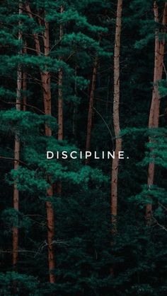 trees with the words discipline on them in front of green and brown forest background that reads,