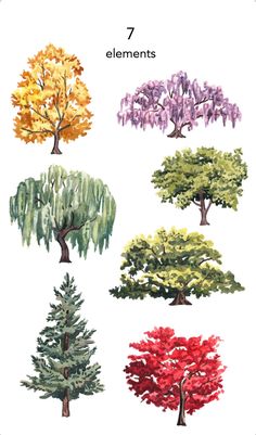 an image of trees with different colors