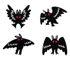 four black and white birds with red eyes are shown in three different shapes, one is shaped