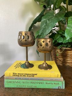 two brass goblets sitting on top of books next to a potted plant