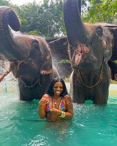 two women in bathing suits are standing in the water with elephants behind them