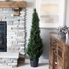 a potted tree in front of a fireplace