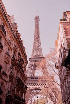 the eiffel tower towering over other tall buildings