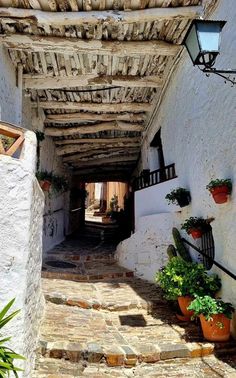 an alley way with potted plants on either side and stone steps leading up to it