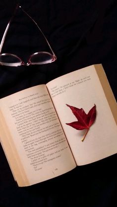 an open book with a red leaf on it next to reading glasses and a pair of eyeglasses