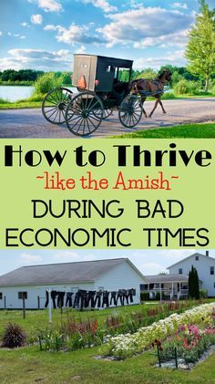 Survive Apocalypse, Homesteading Diy Projects, Off Grid Survival, Emergency Prepardness, Homesteading Diy, Survival Items, Survival Life Hacks, Amish Recipes