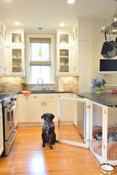 a black dog sitting in front of a white kitchen