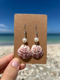 a hand holding up a pair of seashell earrings