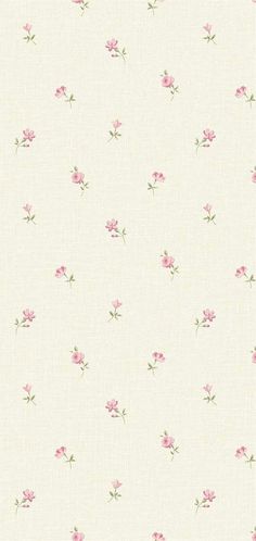 a white background with pink flowers on it