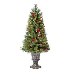 a small christmas tree in a pot with lights and decorations on the top, sitting next to a white background