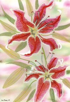 two red flowers with green leaves in the center on a pink and white background greeting card