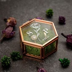 a small box with moss inside sitting on the ground next to other plants and flowers