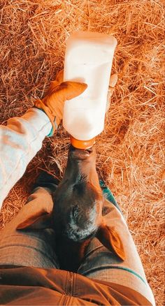 a dog is drinking milk out of a plastic bottle while laying on the ground next to someone's legs