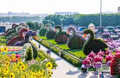 the garden is full of colorful flowers and plants, with people walking around in it