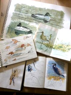 four notebooks with pictures of birds and waterfowls on them sitting on a table