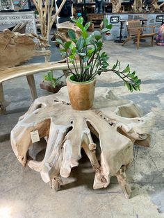 a wooden table with a potted plant sitting on it's top and two benches in the background