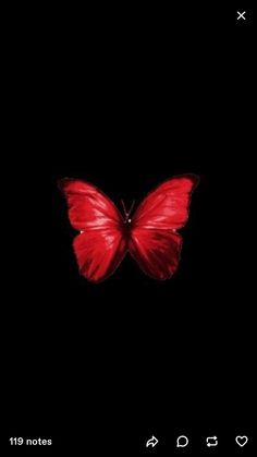 a red butterfly is flying in the dark