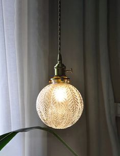 a light hanging from a ceiling next to a plant