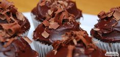 several chocolate cupcakes are sitting on a plate