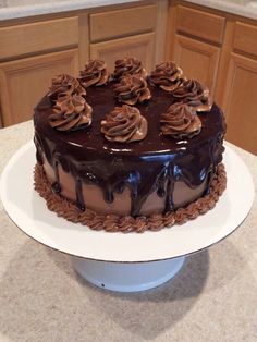 a chocolate cake sitting on top of a white plate in front of a kitchen counter