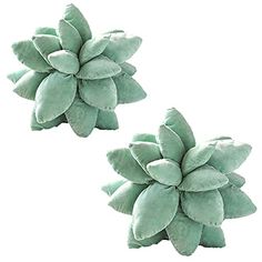 PRICES MAY VARY. 🌵 Premium Material: Our 3D succulents cactus pillow is made of super soft microplush and stuffed with 100% polyester. Cuddle this succulent plush while slouching on your sofa or couch and feel closer to nature. 🌵 Plant Shaped Pillow Dimensions: 9 - 10 inches wide and approximately 4inches tall when laid flat. But when the pillow is broken in (flattened out by use), the flower gets a little bit wider and takes on it's true shape. Just like a real succulent! 🌵 Perfect Home Deco Room Decor Dark Green, Succulent Pillows, Cute Throw Pillows, Cactus Throw Pillows, Succulent Pillow, Leaf Blanket, Novelty Decor, Room Decor Dark, Cactus Pillow