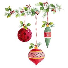 christmas ornaments hanging from a tree branch with holly and berries on it, painted in watercolor