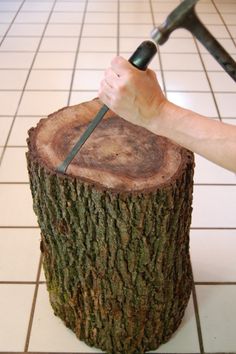 a person cutting into a tree stump with a knife