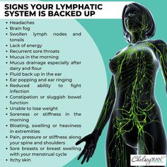 Discover why Chelsey Jean lymphatic system is trusted by health professionals nationwide. Get expert insights, treatments, and tips for optimal lymphatic health. Clearing Lymph Nodes, Lymph Node Massage, Fascia Blasting, Lymph Node, Medical Tips, How To Pop Ears, Drainage Massage, Immune Cells