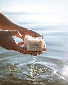 Tofino Soap | Calm - Tofino Soap Company ® Soap Dish, Lavender Essential Oil, Coconut Oil, Lavender, Soap