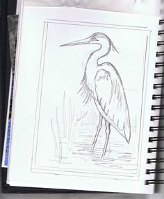 a pencil drawing of a bird standing in the water