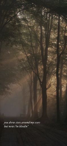 the sun shines through the trees on a foggy day