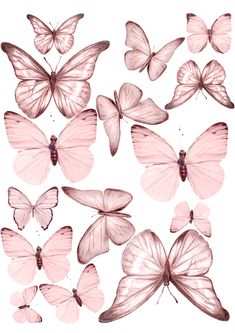 pink butterflies are arranged on a white background